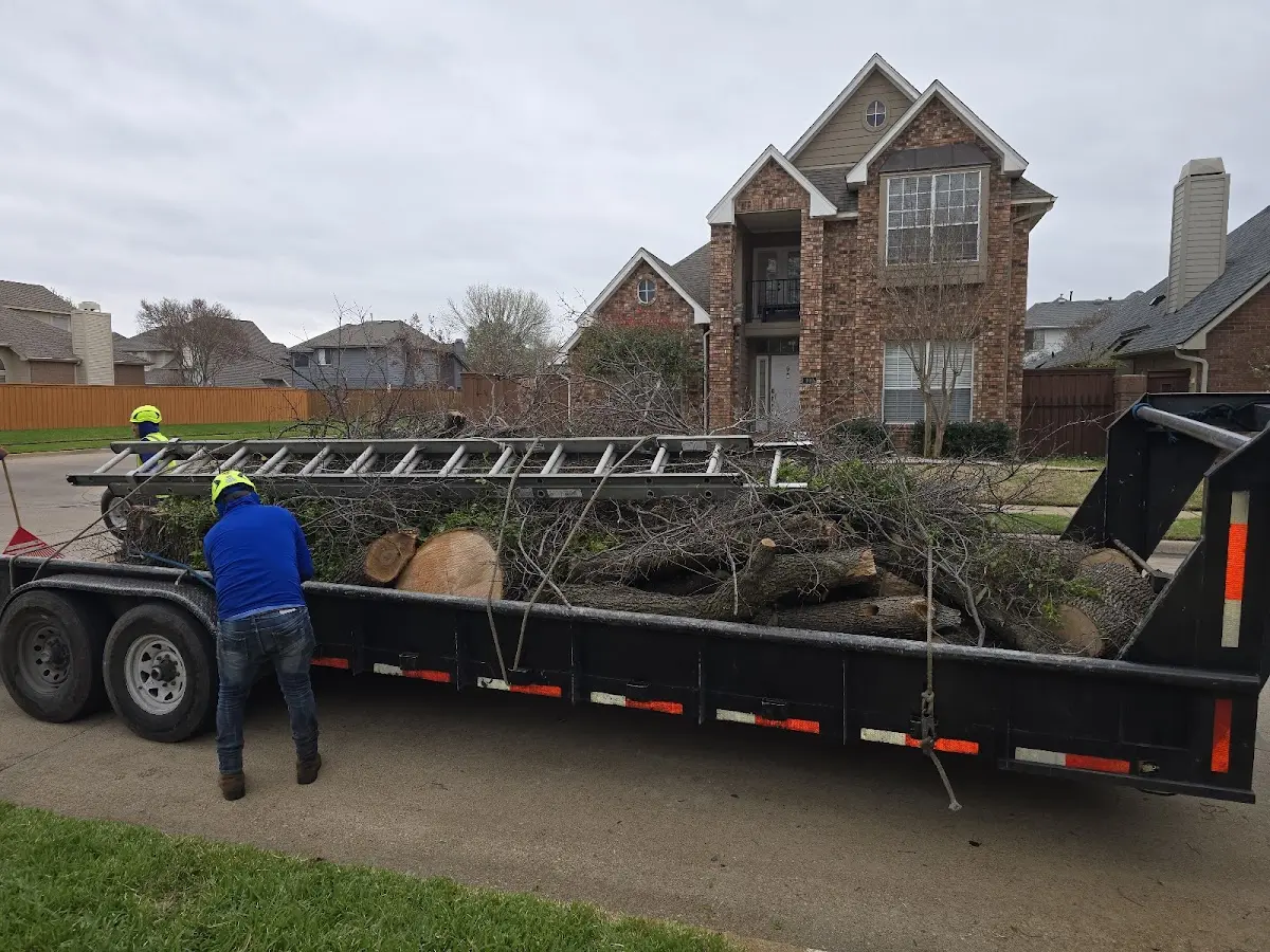 Expert Tree Fertilization with proper safety equipment in Brook Park